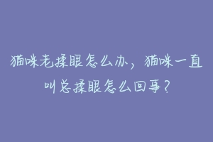 猫咪老揉眼怎么办,猫咪一直叫总揉眼怎么回事?