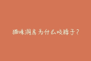猫咪洞房为什么咬脖子?