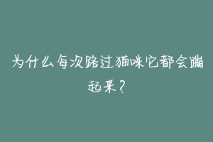 为什么每次路过猫咪它都会蹦起来?