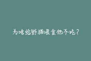 为啥给野猫喂食他不吃?