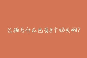 公猫为什么也有8个奶头啊?