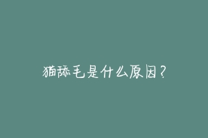 猫舔毛是什么原因?