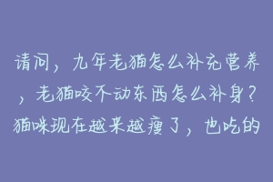 请问,九年老猫怎么补充营养,老猫咬不动东西怎么补身?猫咪现在越来越瘦了,也吃的很少,真的怕它营养不?