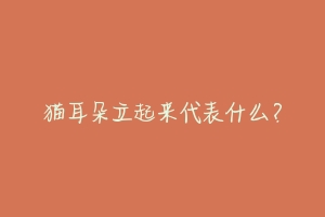 猫耳朵立起来代表什么?