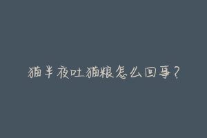 猫半夜吐猫粮怎么回事?