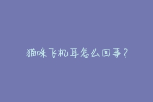 猫咪飞机耳怎么回事?