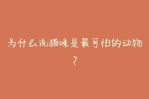 为什么说猫咪是最可怕的动物?