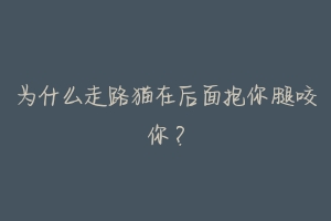 为什么走路猫在后面抱你腿咬你?