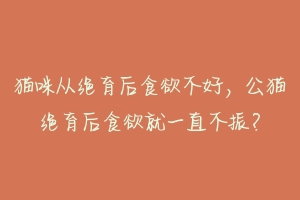 猫咪从绝育后食欲不好,公猫绝育后食欲就一直不振?