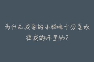 为什么我家的小猫咪十分喜欢往我的怀里钻?