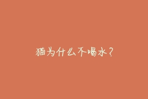 猫为什么不喝水?