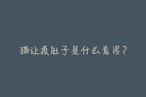 猫让摸肚子是什么意思?