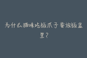 为什么猫咪吃饭爪子要放饭盆里?