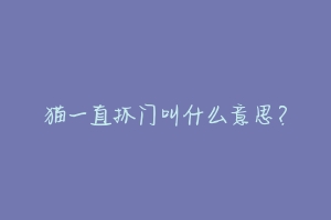 猫一直抓门叫什么意思？