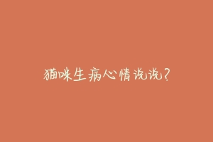 猫咪生病心情说说？