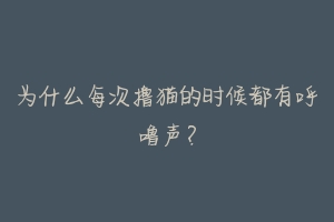 为什么每次撸猫的时候都有呼噜声?