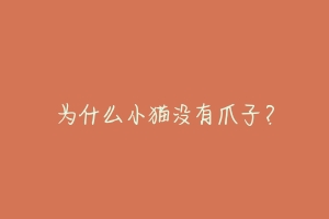 为什么小猫没有爪子？