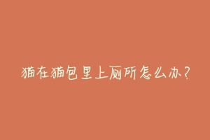 猫在猫包里上厕所怎么办?
