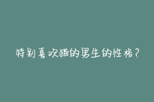 特别喜欢猫的男生的性格?