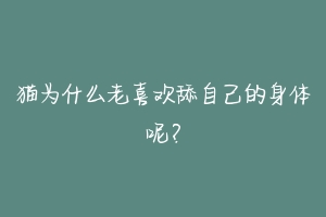 猫为什么老喜欢舔自己的身体呢?
