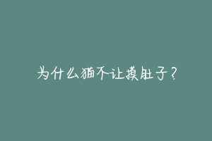 为什么猫不让摸肚子？