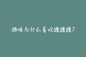 猫咪为什么喜欢蹭蹭蹭?