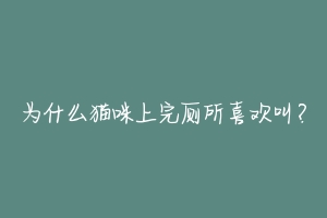 为什么猫咪上完厕所喜欢叫?
