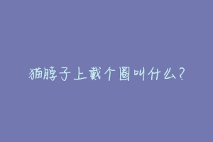 猫脖子上戴个圈叫什么?