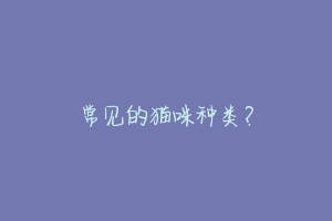 常见的猫咪种类?