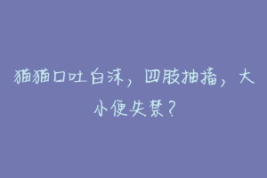 猫猫口吐白沫,四肢抽搐,大小便失禁?