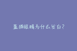 蓝猫眼睛为什么发白?