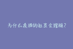 为什么摸猫的肚皮会蹬腿?