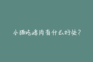 小猫吃鸡肉有什么好处?