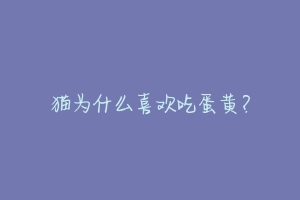 猫为什么喜欢吃蛋黄?