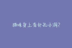 猫咪身上有针孔小洞?
