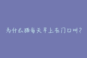 为什么猫每天早上在门口叫?