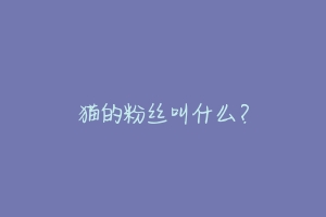 猫的粉丝叫什么?