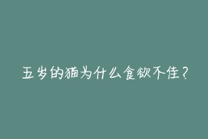 五岁的猫为什么食欲不佳?
