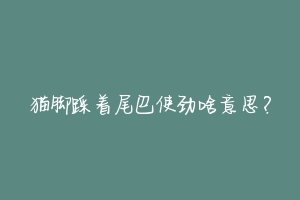 猫脚踩着尾巴使劲啥意思?