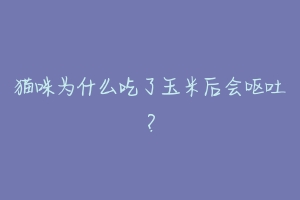 猫咪为什么吃了玉米后会呕吐?