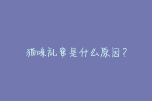 猫咪乱窜是什么原因？