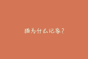 猫为什么记家？