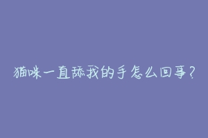 猫咪一直舔我的手怎么回事？