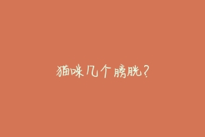 猫咪几个膀胱?