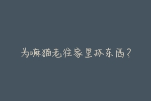 为嘛猫老往家里抓东西?