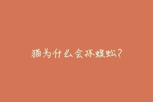 猫为什么会抓蜈蚣?
