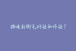 猫咪剃脚毛好处和坏处?