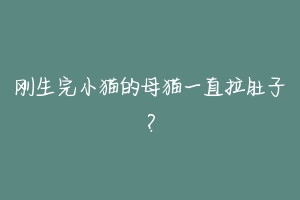 刚生完小猫的母猫一直拉肚子?