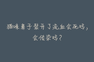 猫咪鼻子裂开了流血会死吗,会传染吗?