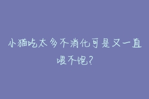 小猫吃太多不消化可是又一直喂不饱?